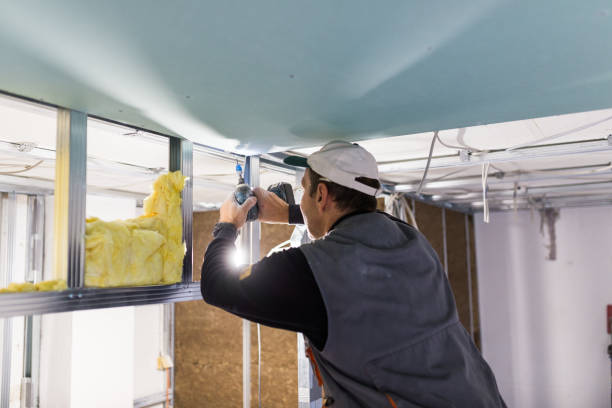 Best Insulation Maintenance and Repair in Fern Prairie, WA