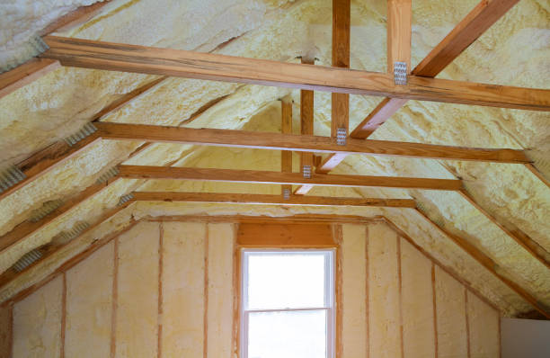 Best Specialized Insulation Services in Fern Prairie, WA