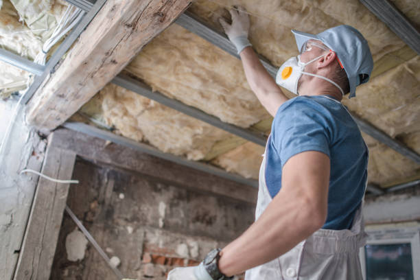 Best DIY Insulation Kits and Guidance in Fern Prairie, WA