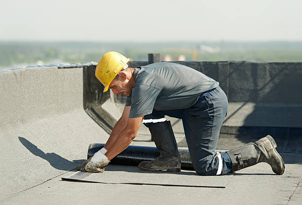 Best Geographic-Specific Insulation Services in Fern Prairie, WA